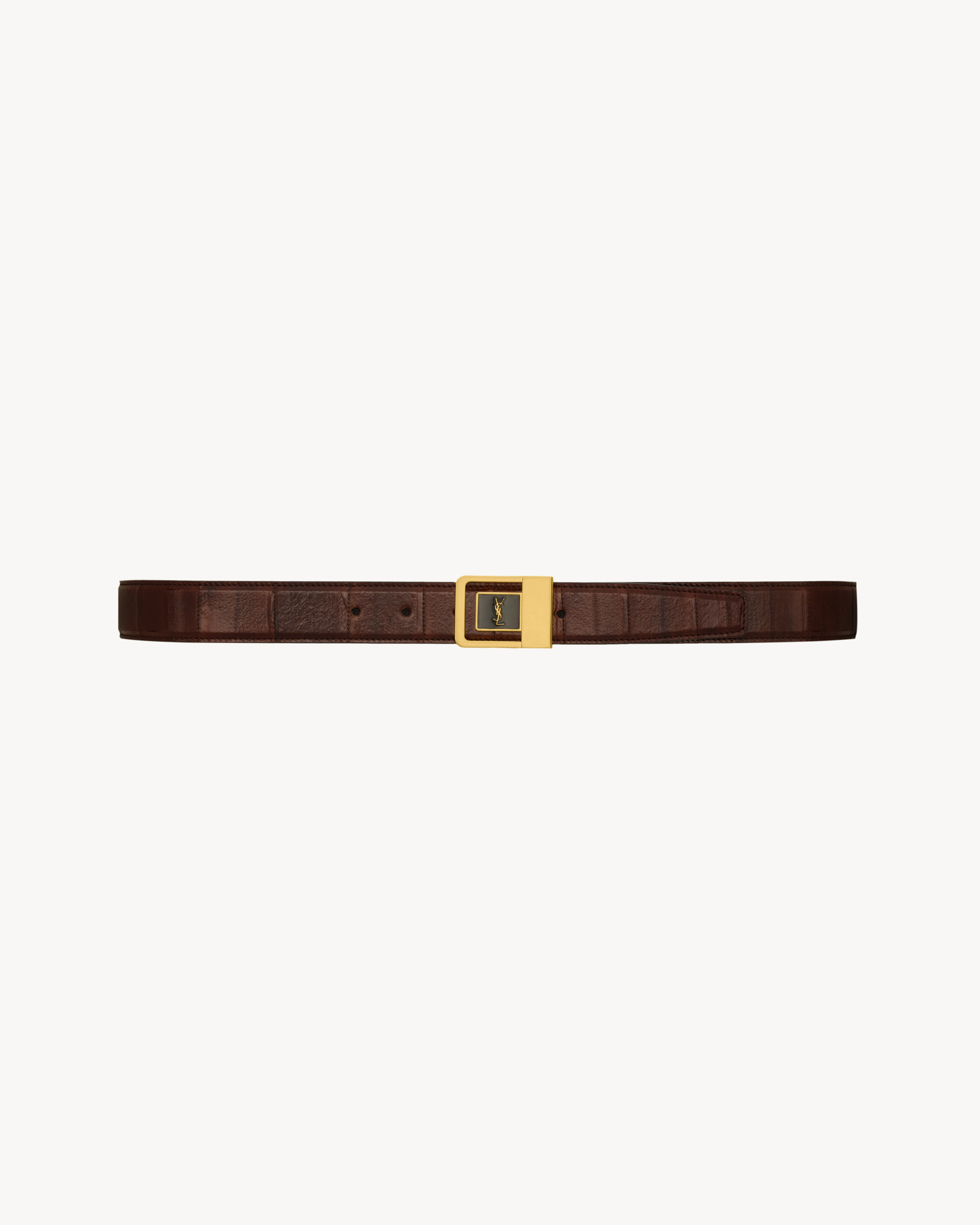 LA 66 belt in eel