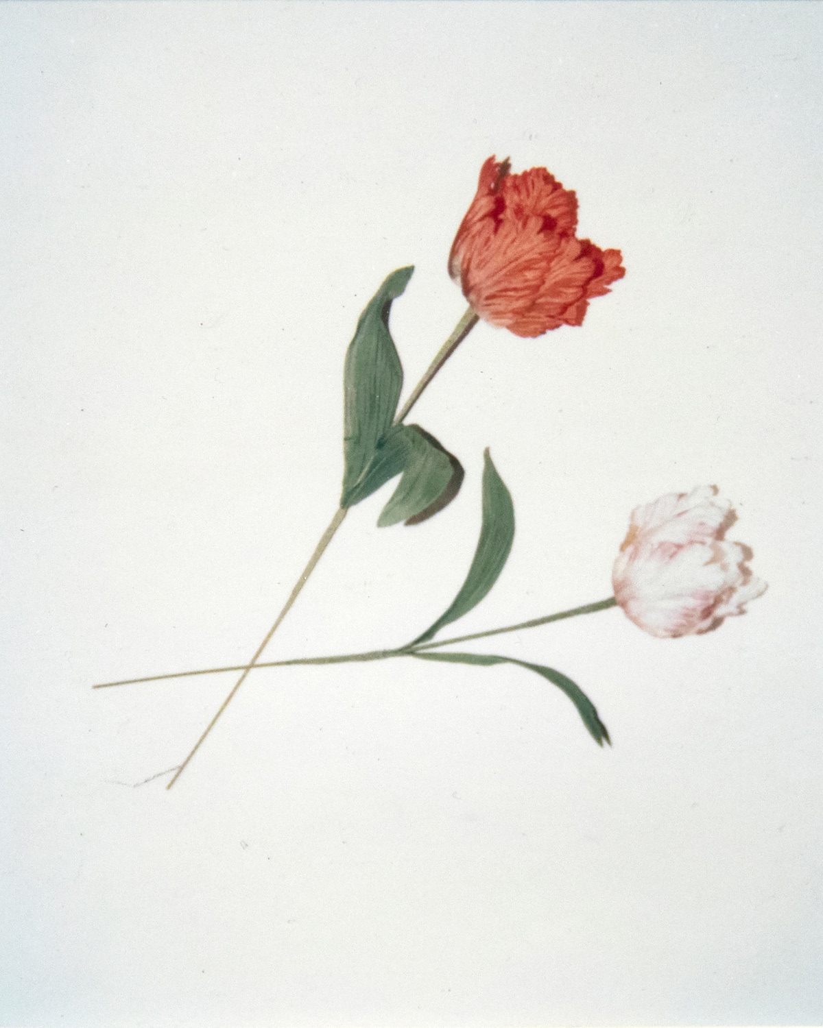 Card Listing > RD SL Art Programs > Photo & Video > Andy Warhol Exhibition > Image