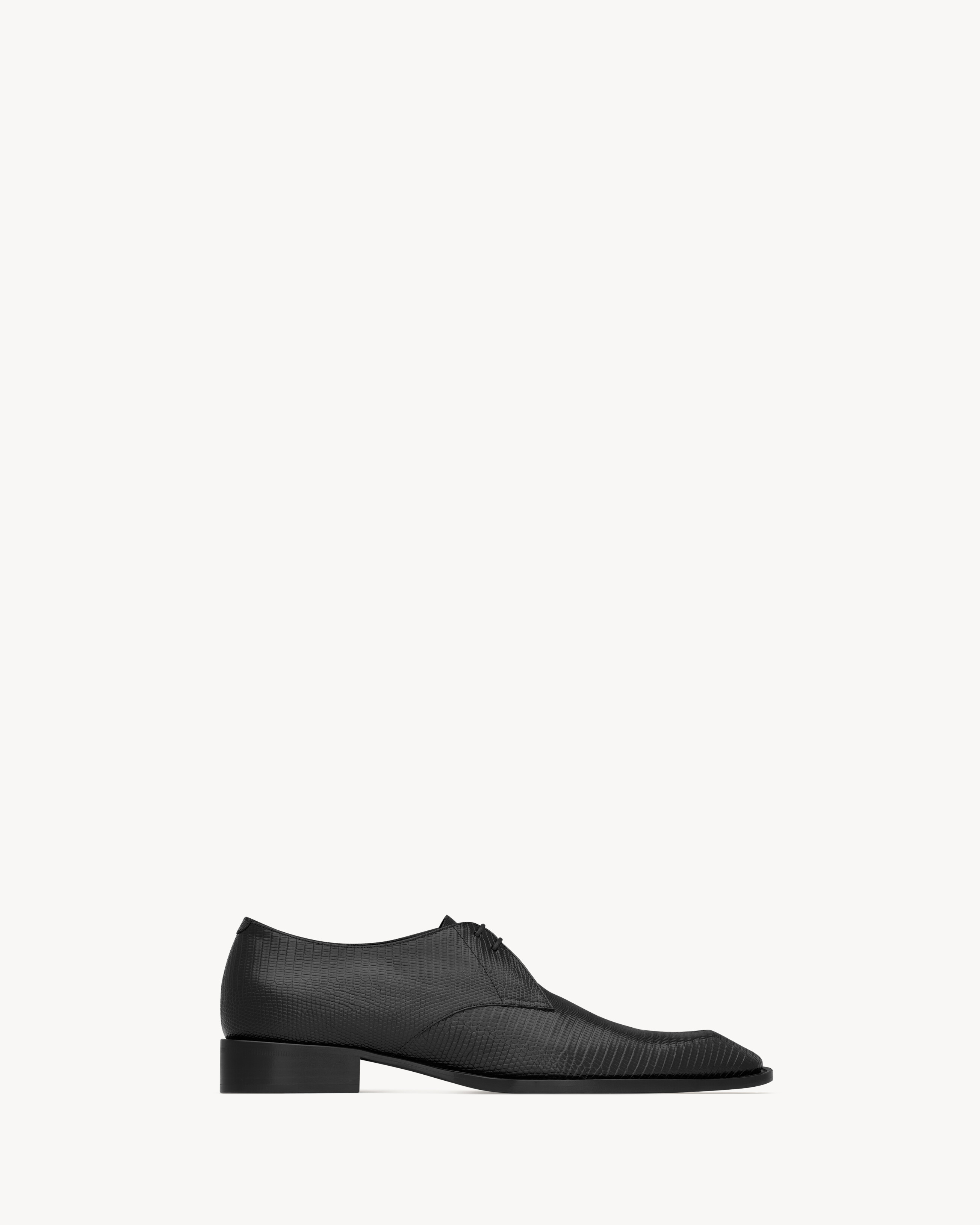 CONNOR derbies in lizard