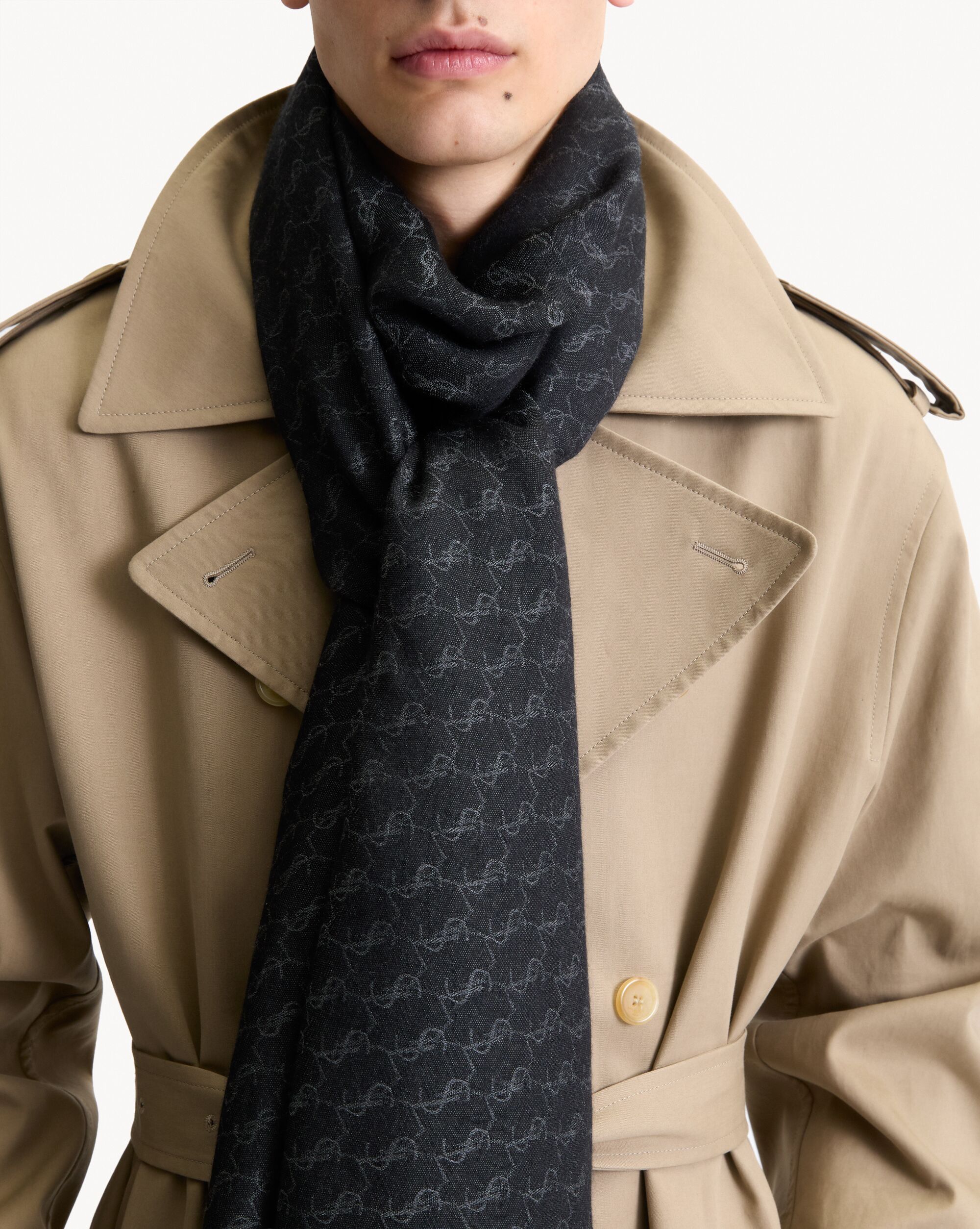 CASSANDRE scarf in cashmere and silk jacquard