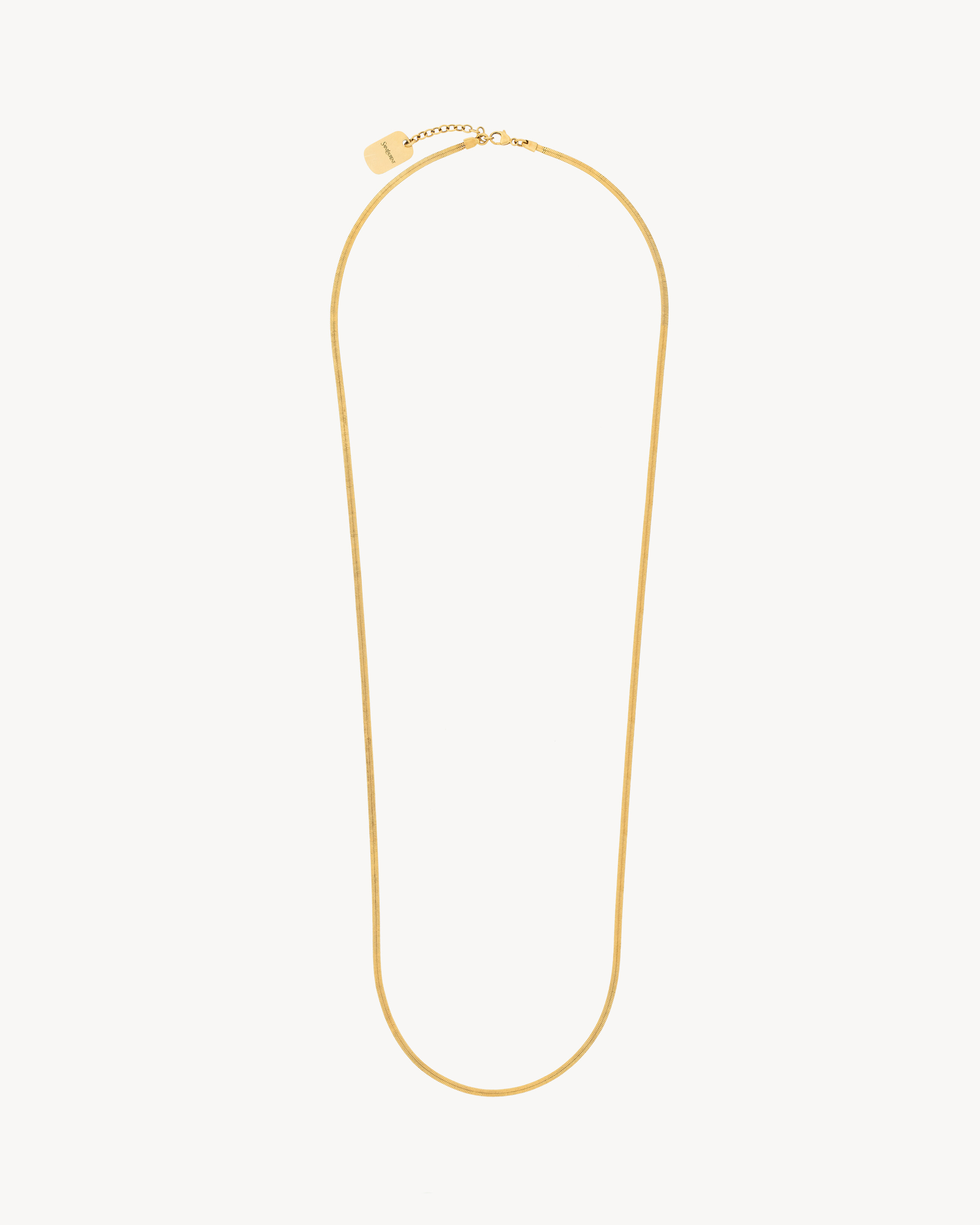 long chain necklace in metal