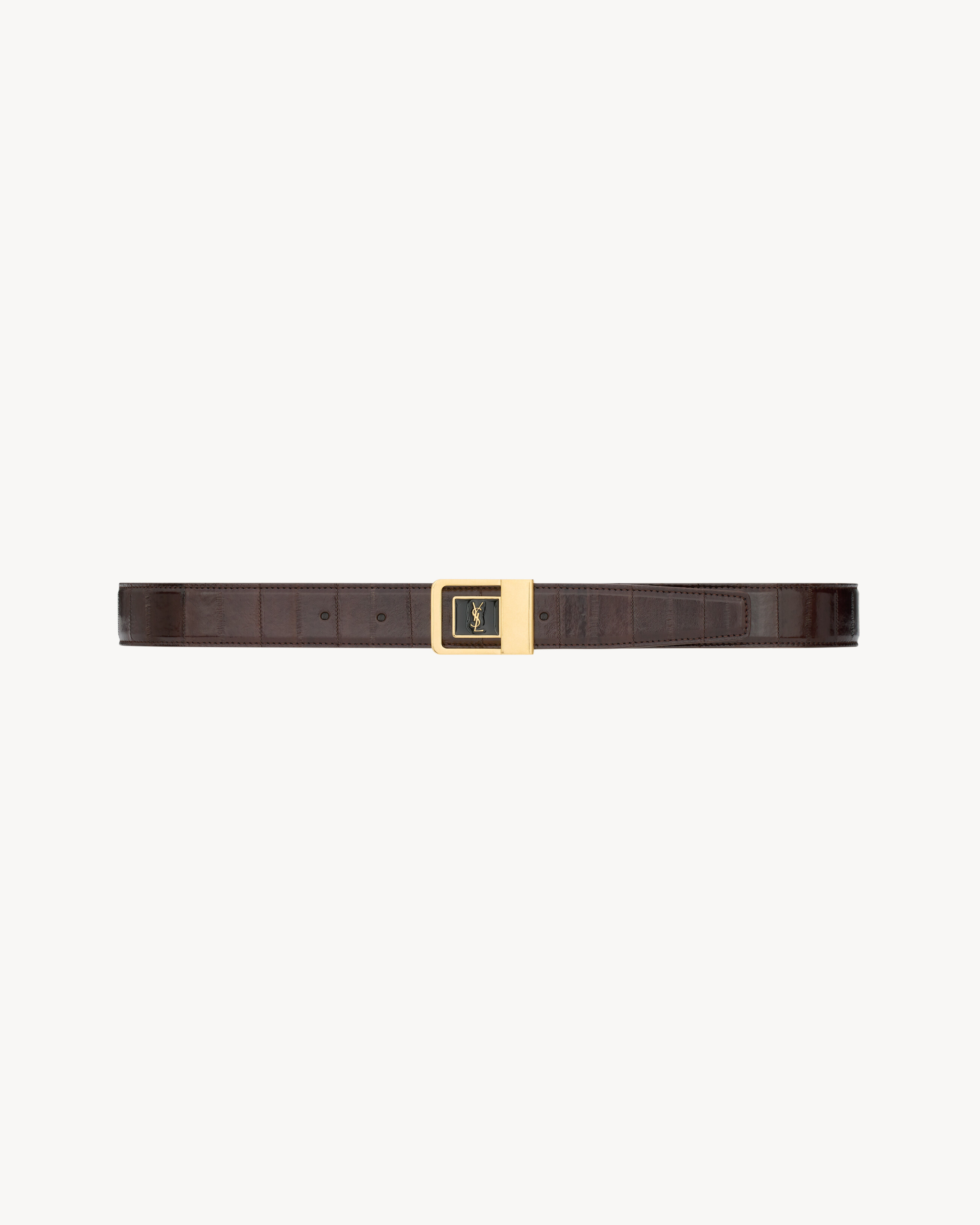 LA 66 buckle belt in eel