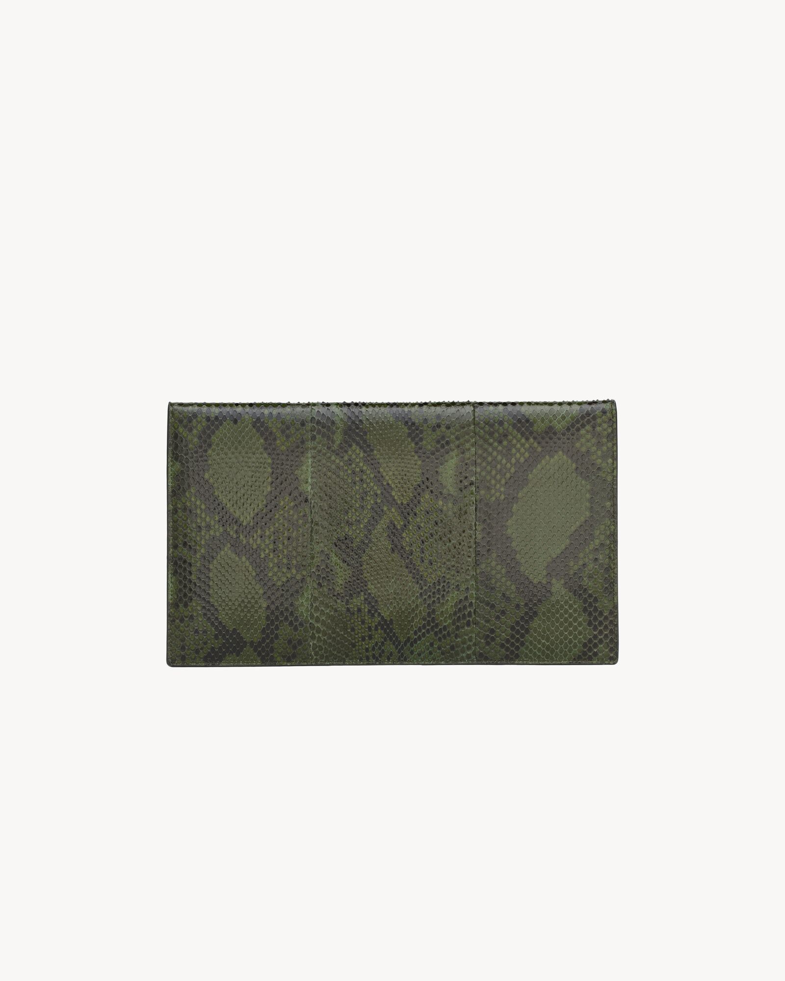 PARIS pouch in python in Green | Saint Laurent | YSL US