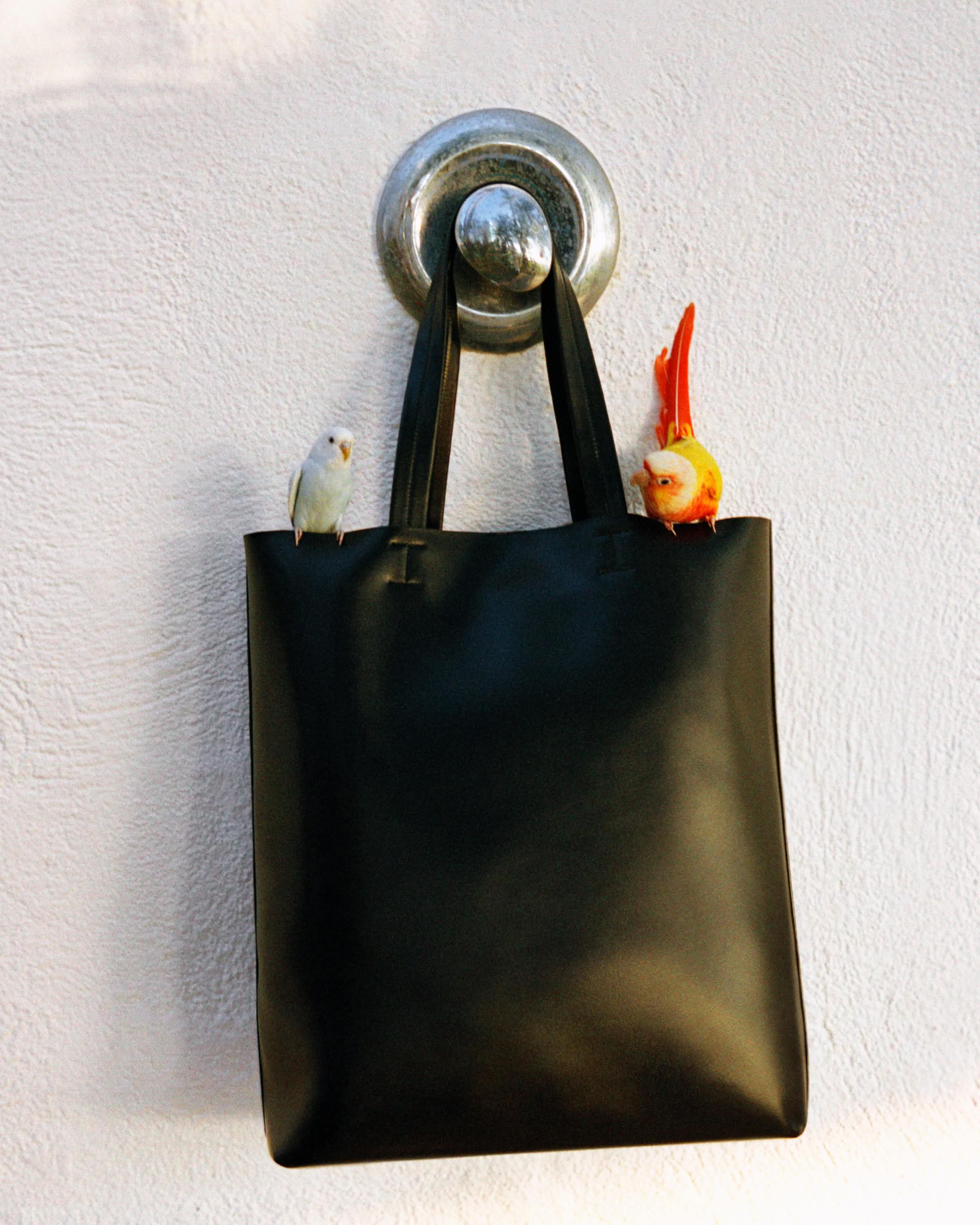 Men FALL26 Campaign > Double 2 PARROTS ON BAG