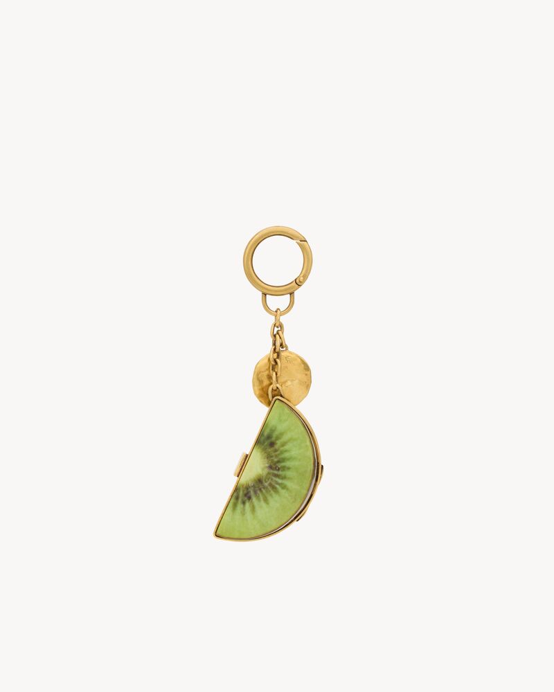 kiwi keyring in resin