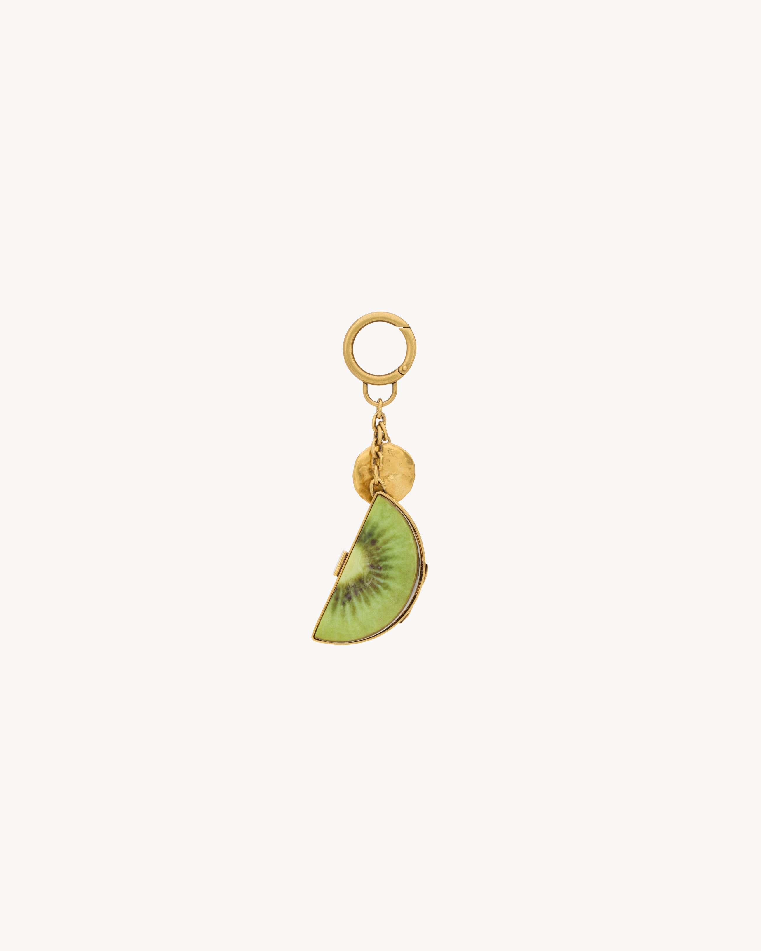 kiwi keyring in resin