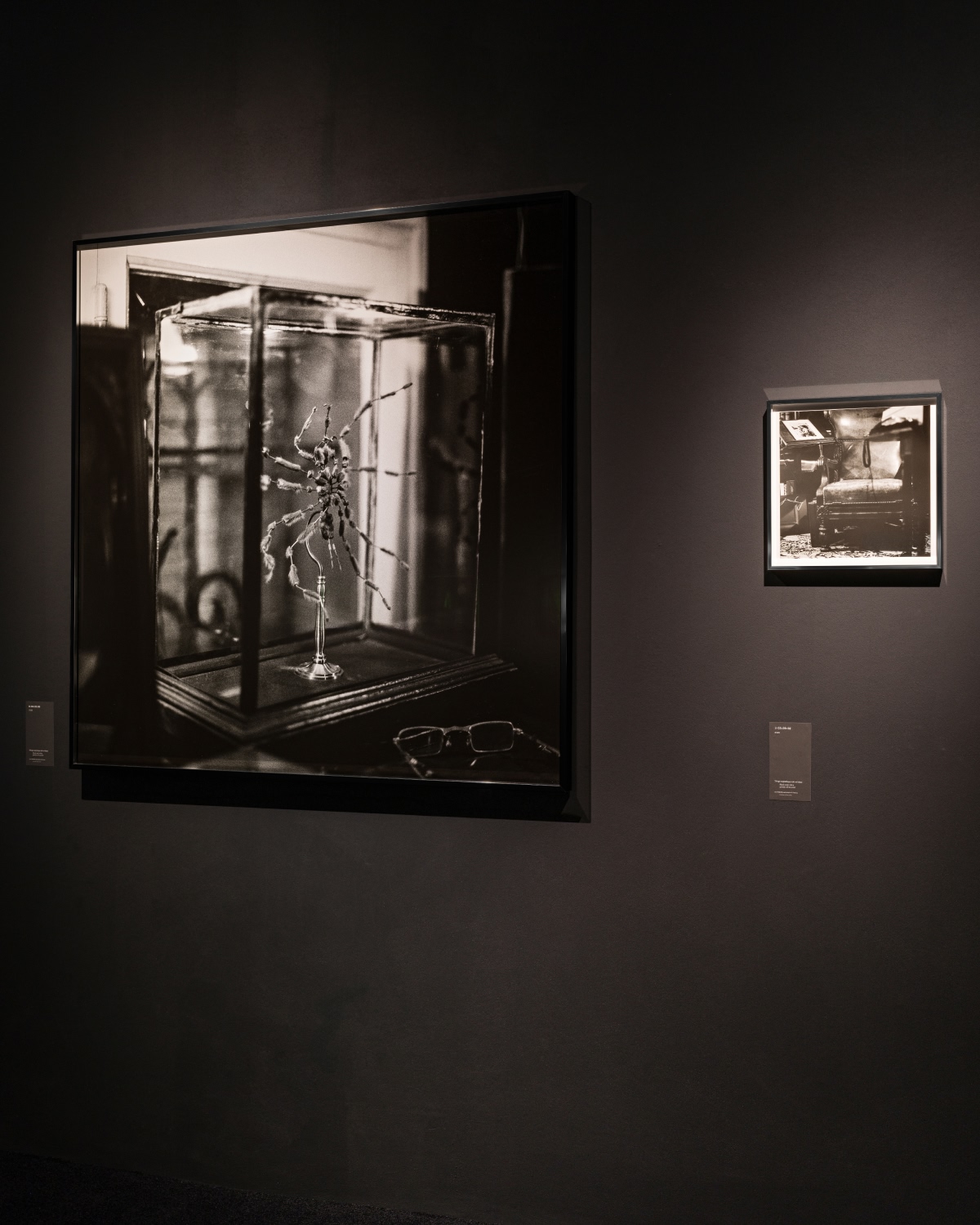 LA MAISON > CHARLOTTE GAINSBOURG 5 BIS EXHIBITION > Slider > Item 4