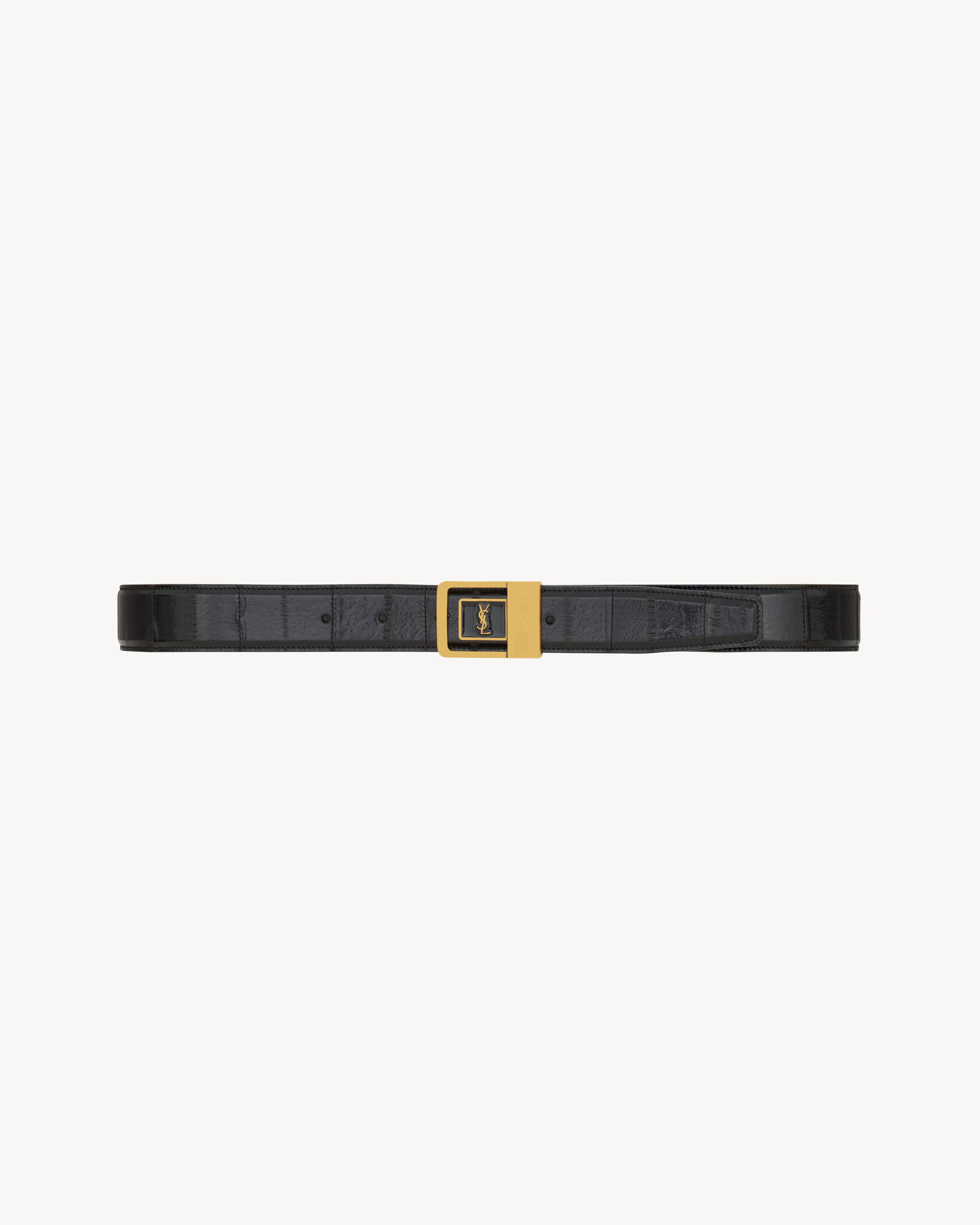 LA 66 buckle belt in eel
