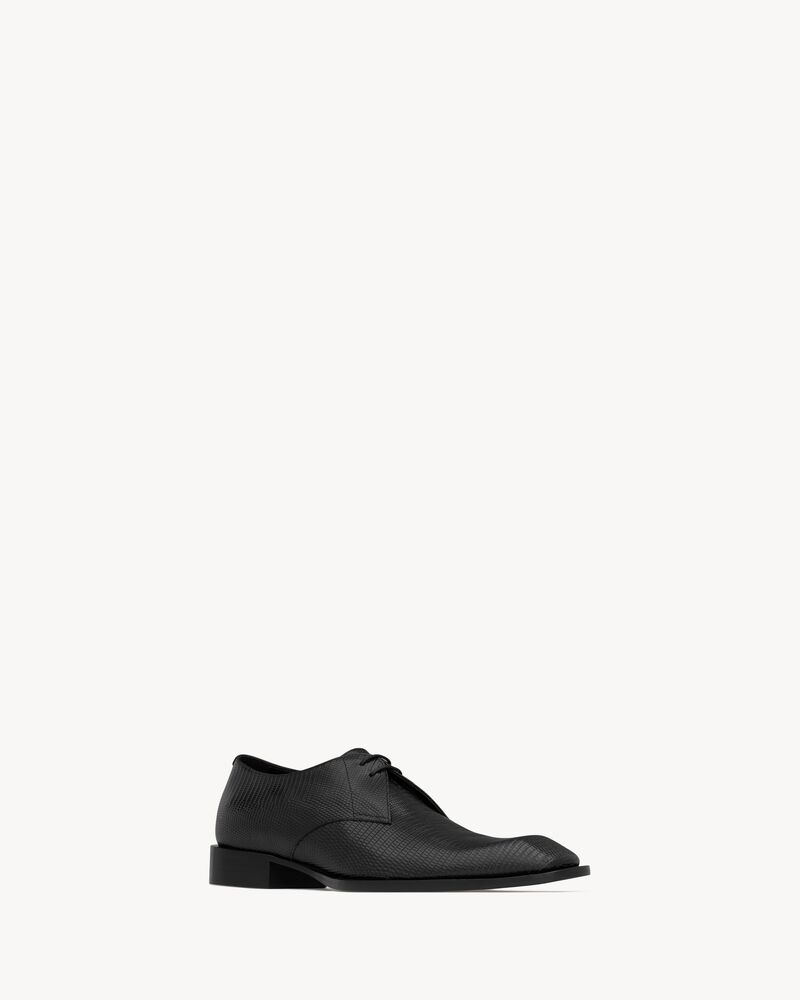 CONNOR derbies in lizard