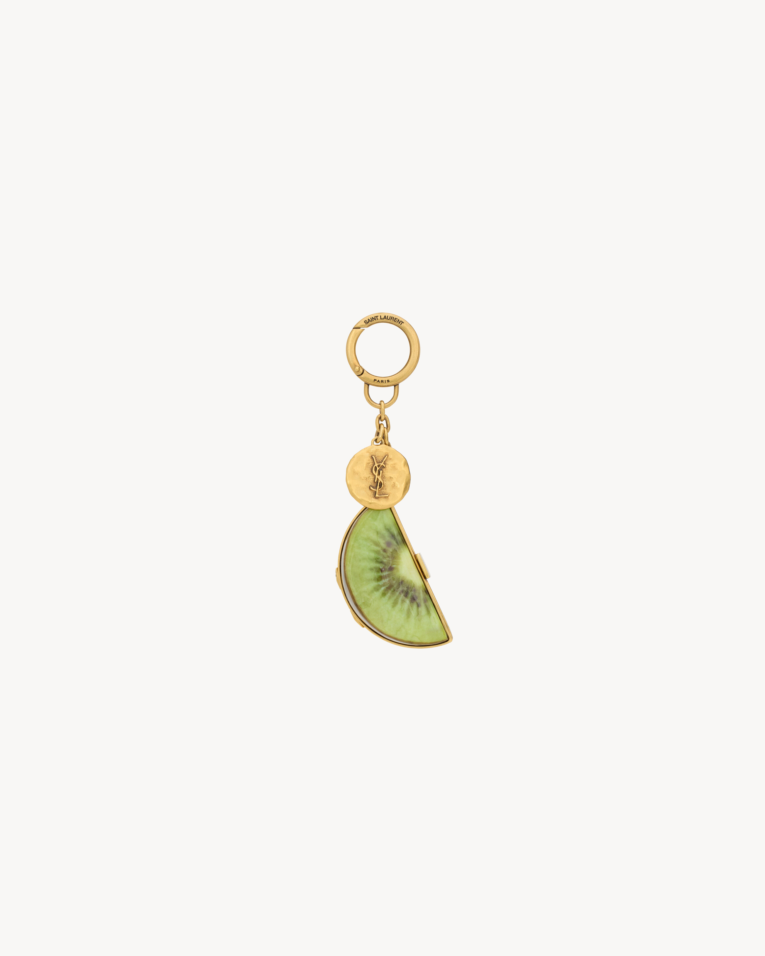kiwi keyring in resin