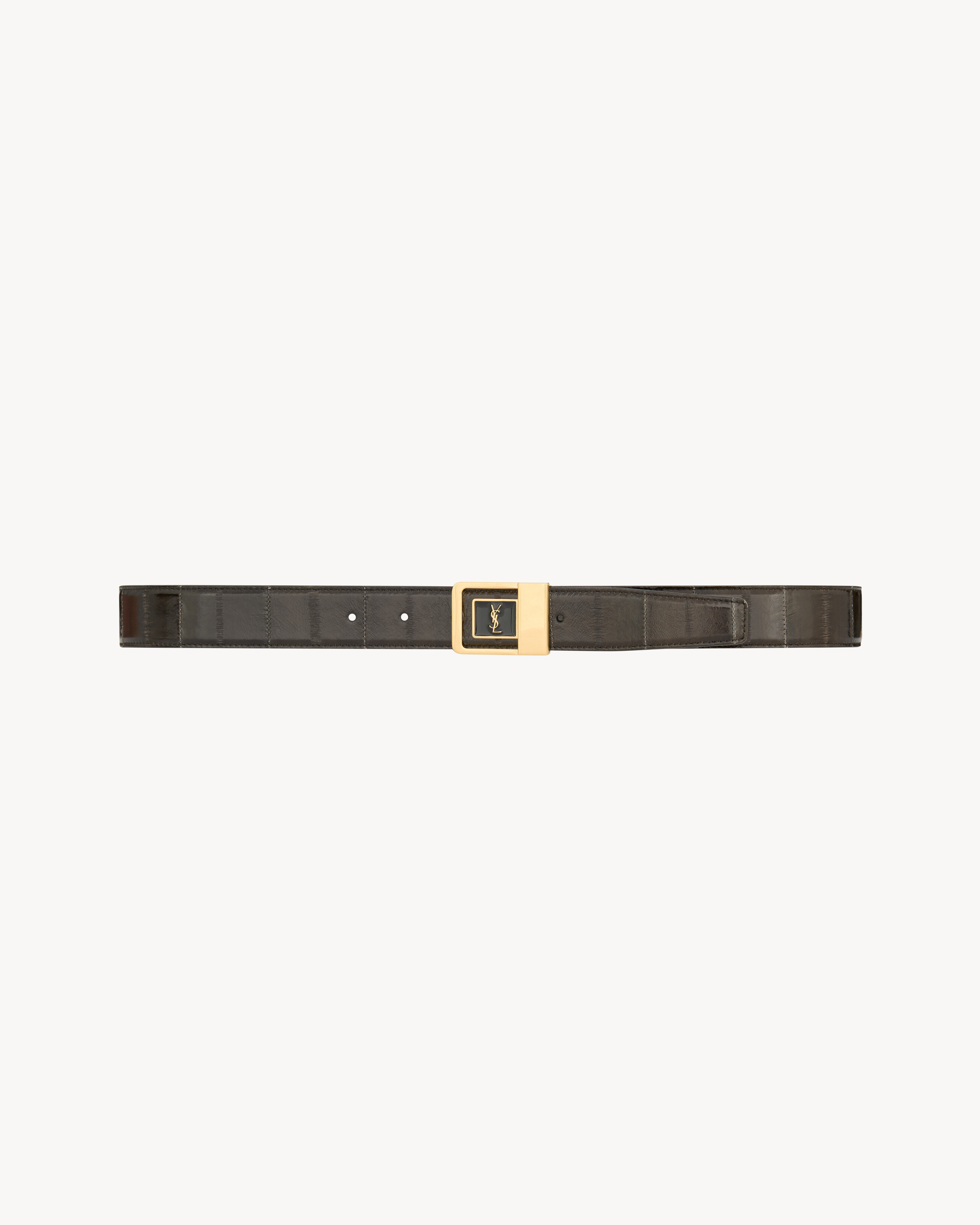 LA 66 belt in eel