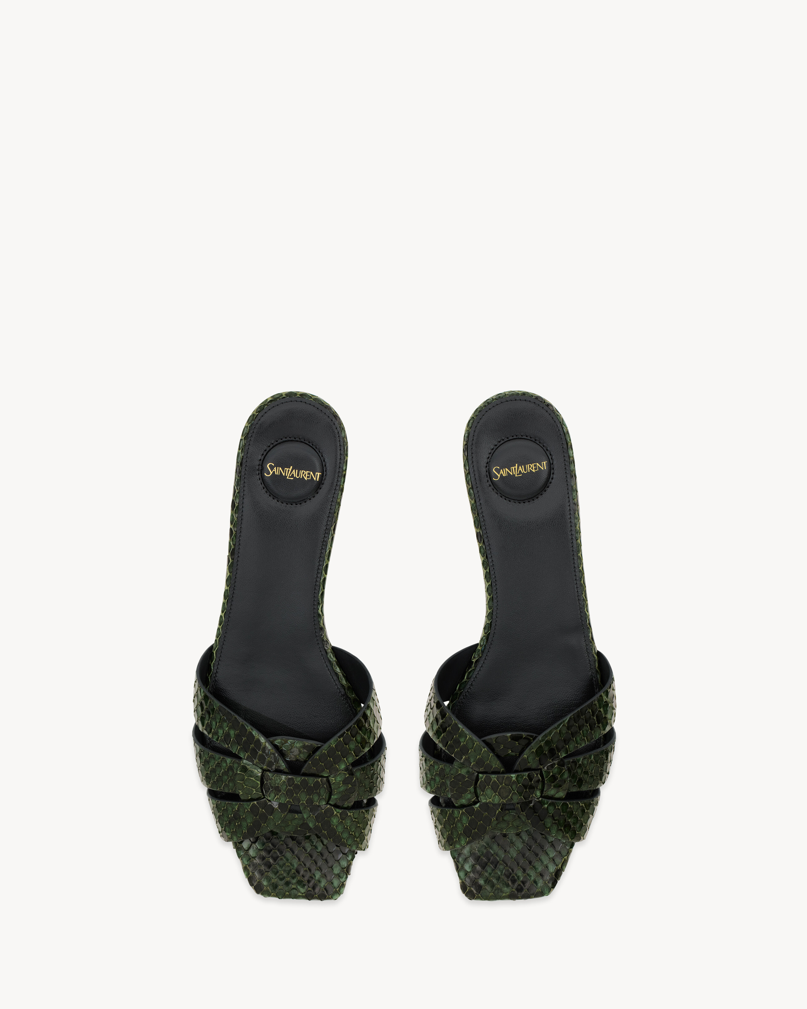 TRIBUTE sildes in python