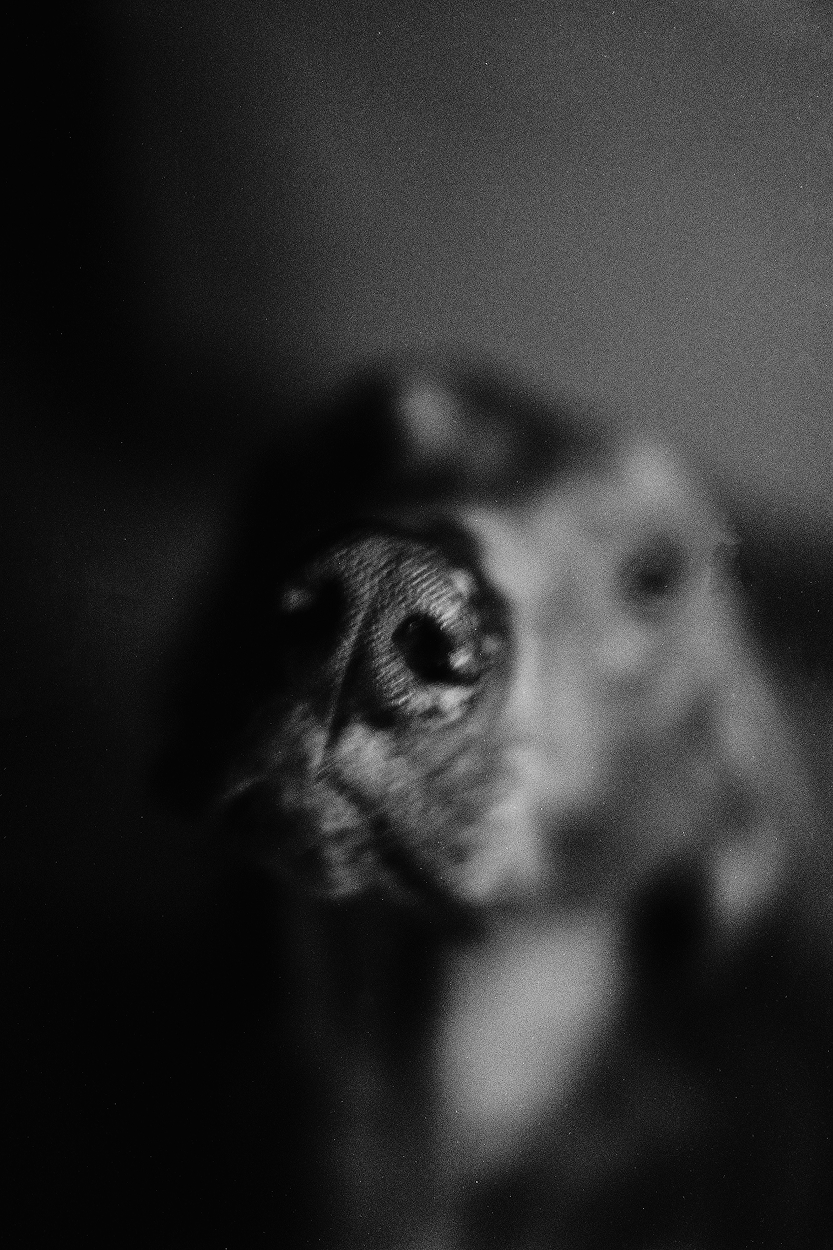 SL Editions > Fanzine > D. M. Terblanche > Slider > Visual 13 > image