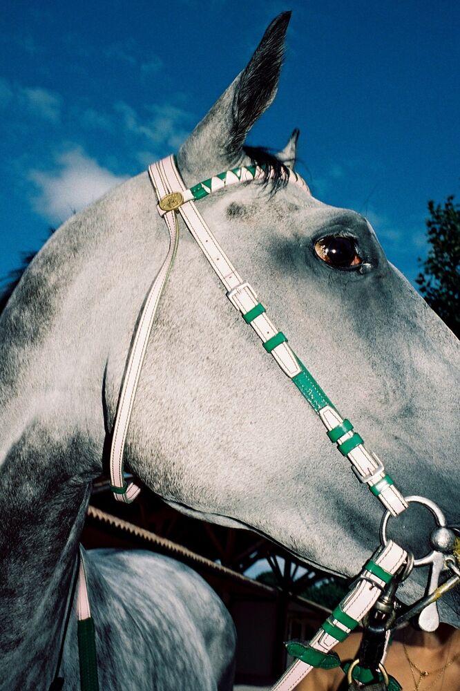 SL Editions > Fanzine > Leon Prost > Slider Soft > Visual 3