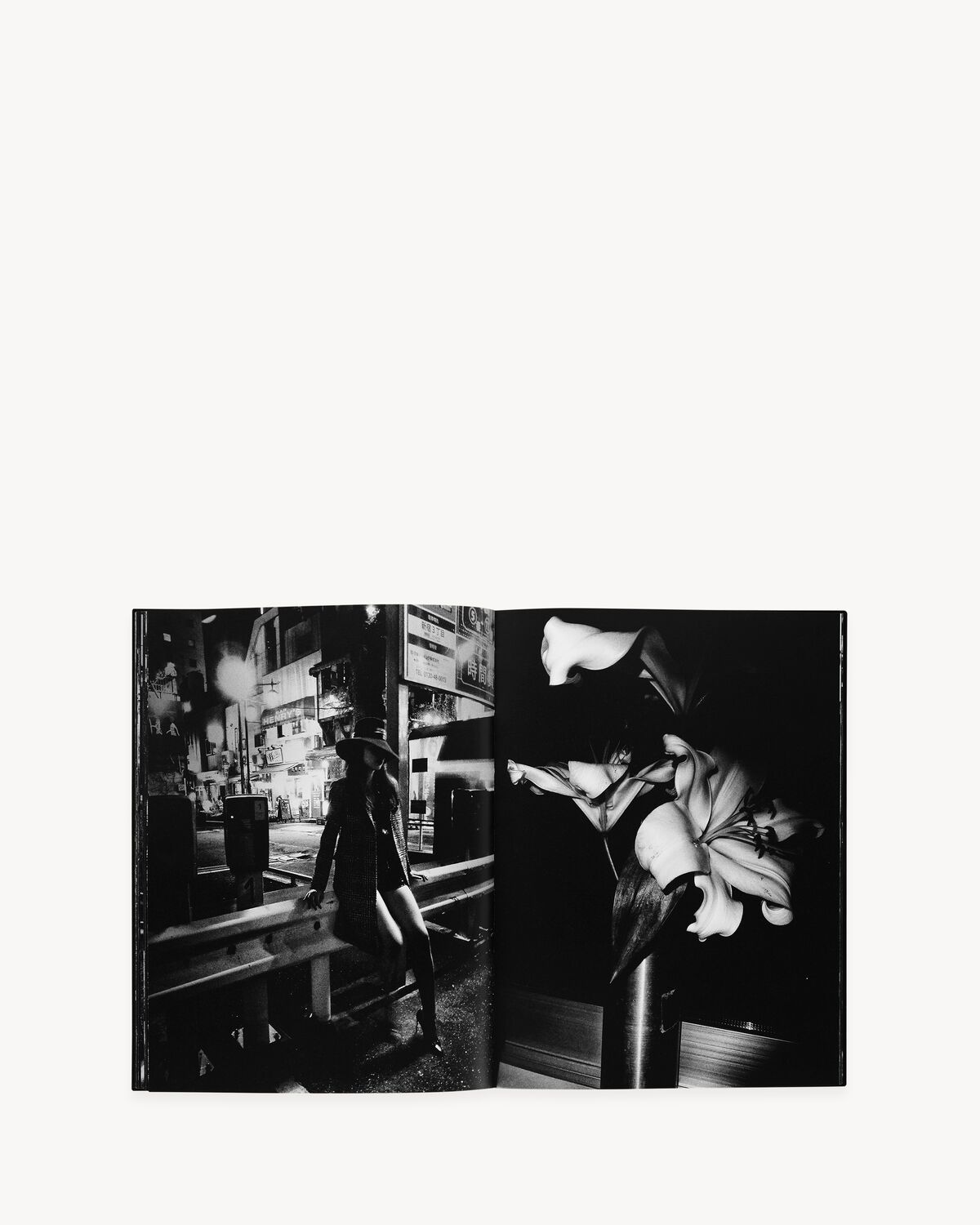 SL EDITIONS: DAIDO MORIYAMA