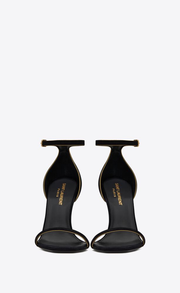 steve madden roma