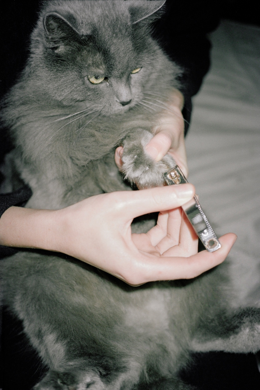 SL Editions > Fanzine > Jonathan LLense > Slider > Visual 21 > image