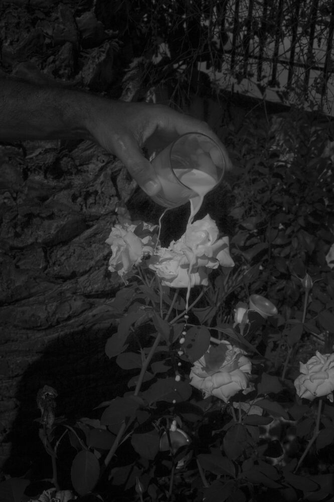 SL Editions > Fanzine > Ada Marino > Slider Soft > Visual 2