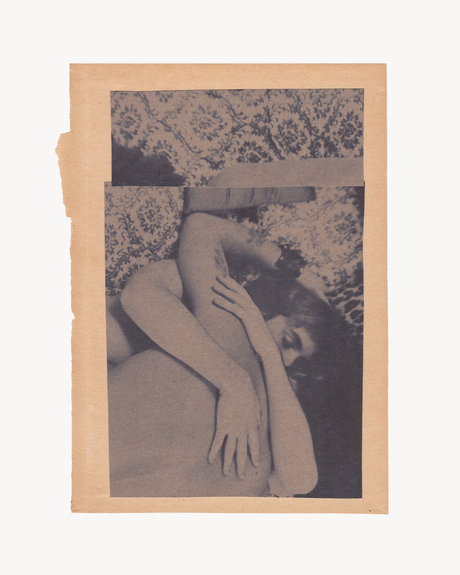 AARON MOTH - FRAGMENTS SERIES