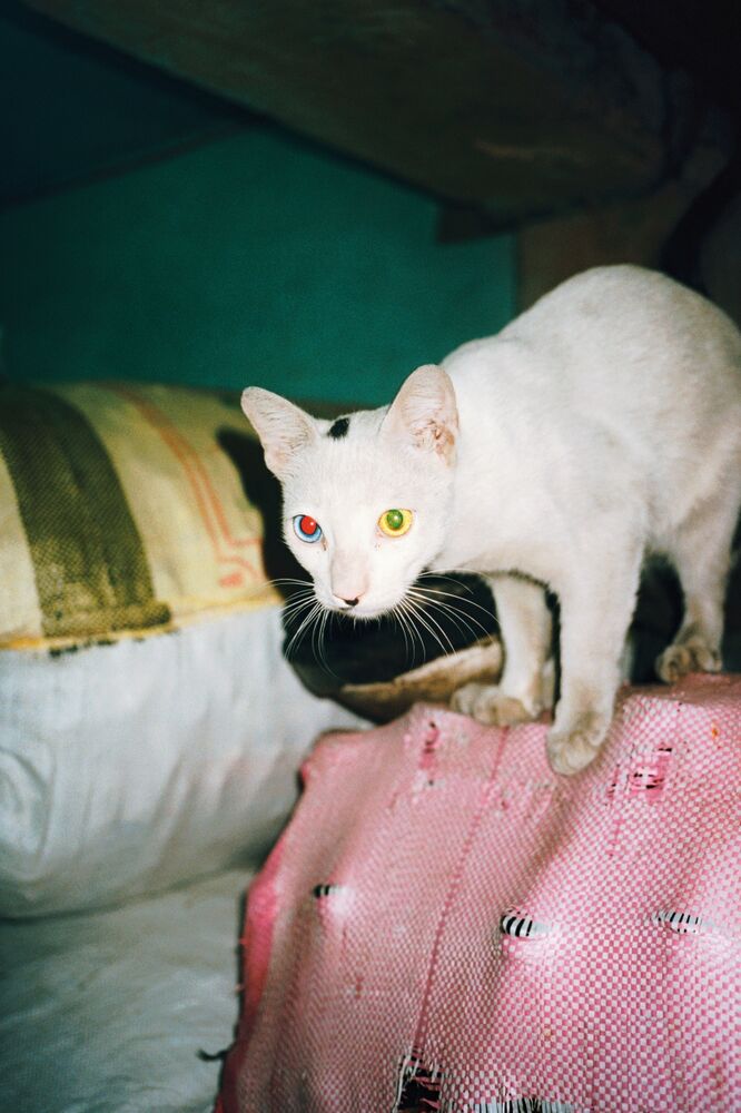 SL Editions > Fanzine > Jonathan LLense > Slider > Visual 33 > image