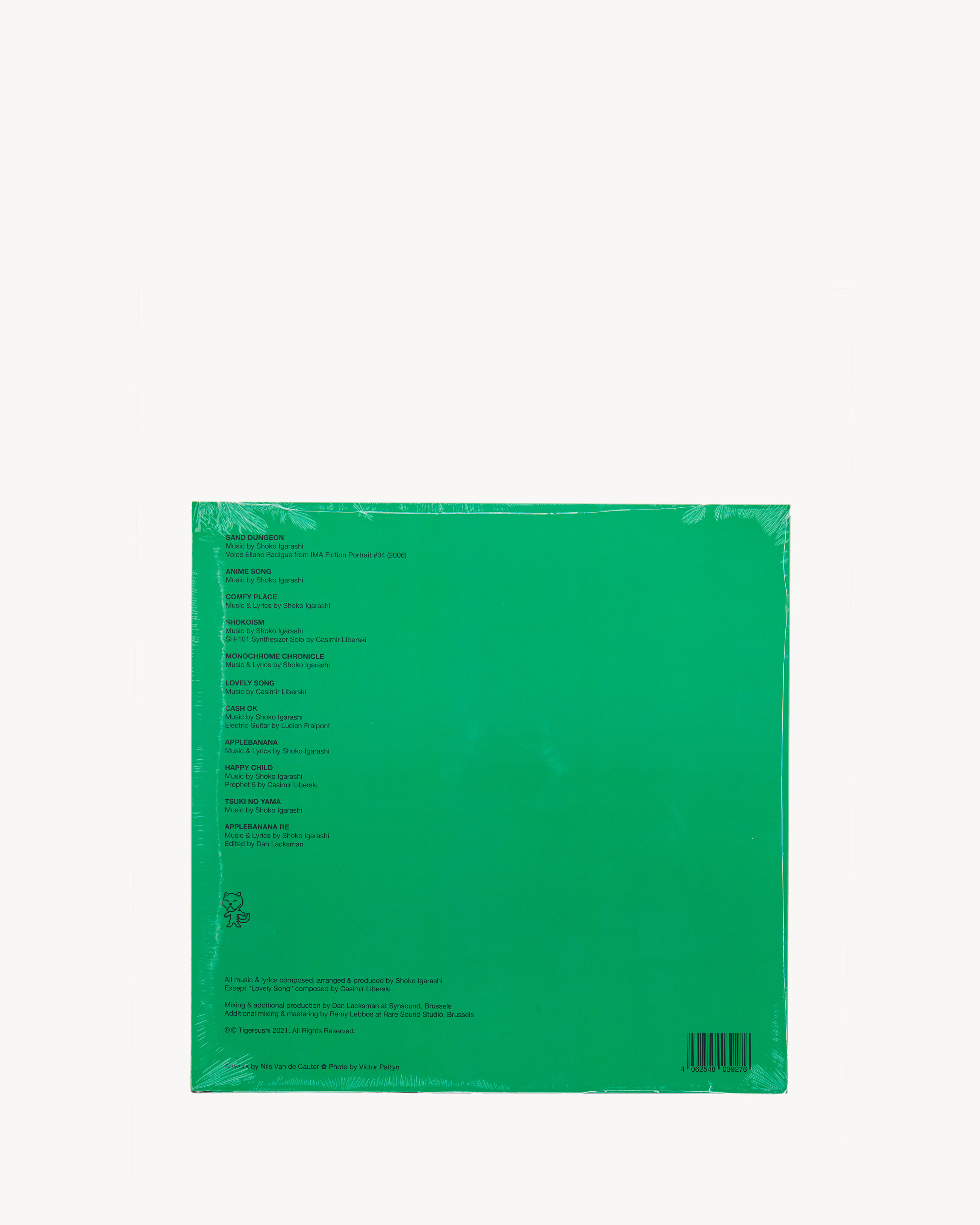 Shoko Igarashi Simple sentences