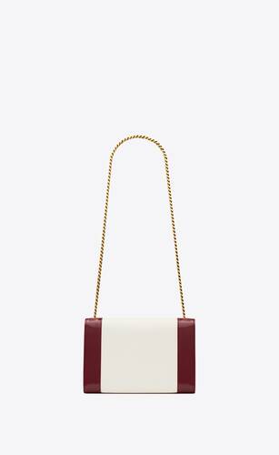 Choosing Colors- Celine Belt Bag & YSL Small Hobo : r/handbags