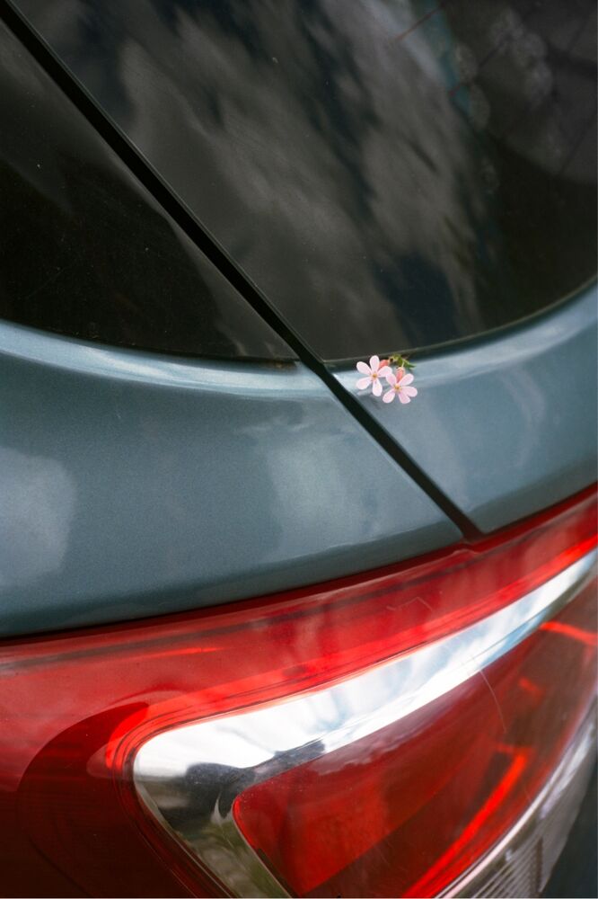 SL Editions > Fanzine > Jonathan LLense > Slider Soft > Visual 16 > image