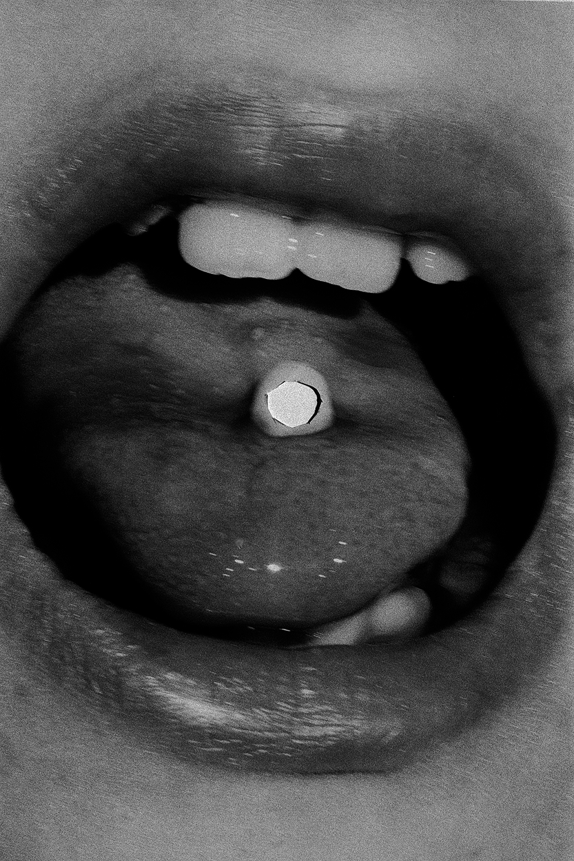SL Editions > Fanzine > D. M. Terblanche > Slider > Visual 4 > image