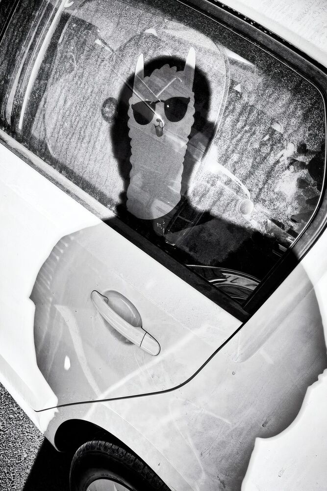 SL Editions > Fanzine > Dominic Dhäncke > Slider > Visual 16