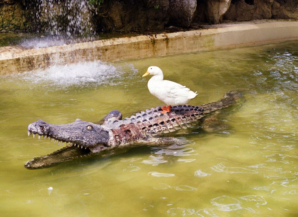 SL Editions > Fanzine > Jonathan LLense > Slider Soft > Visual 8 > image