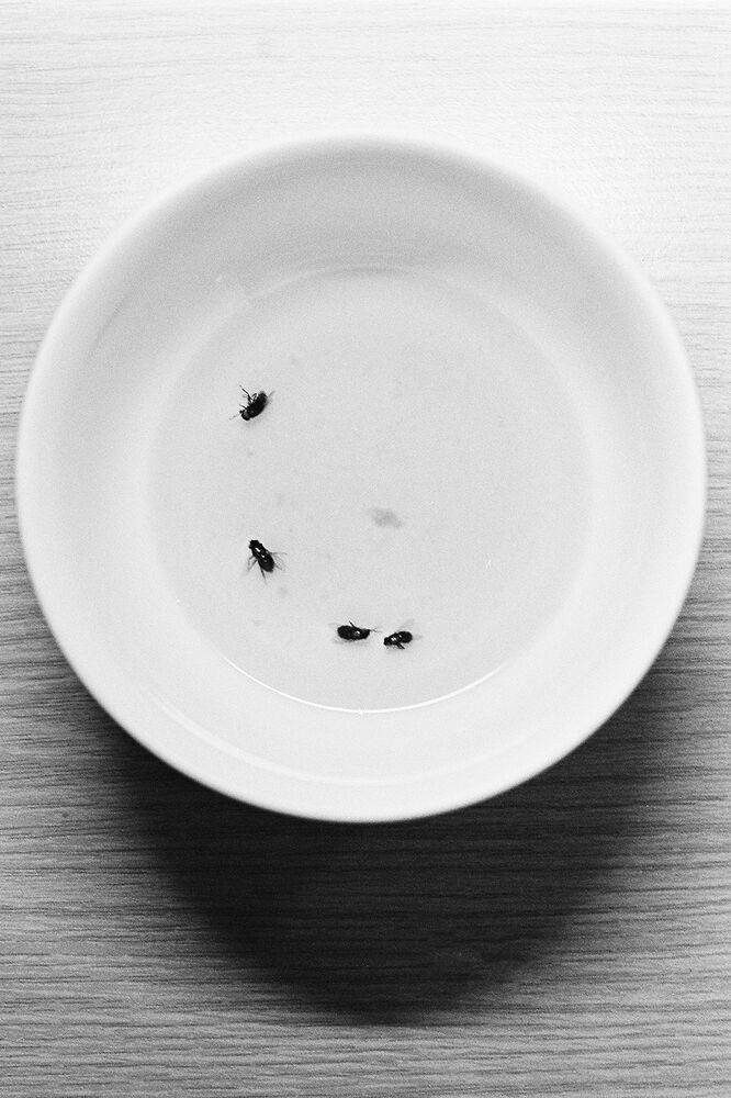 SL Editions > Fanzine > D. M. Terblanche > Slider > Visual 3 > image