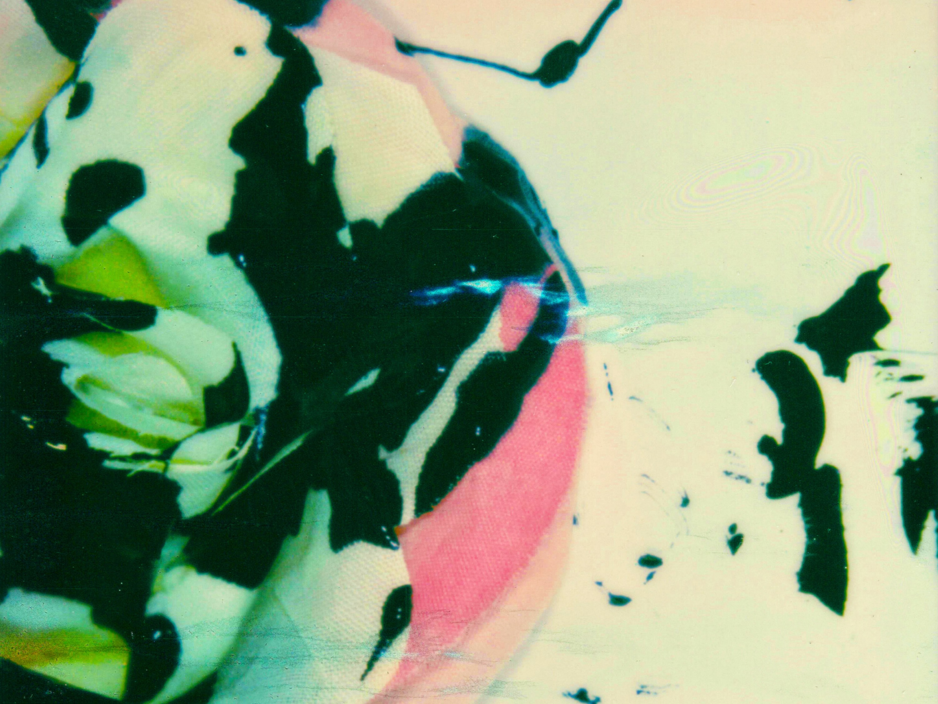 SL Editions > Fanzine > Indigo Lewin > Single Component 1 > Soft