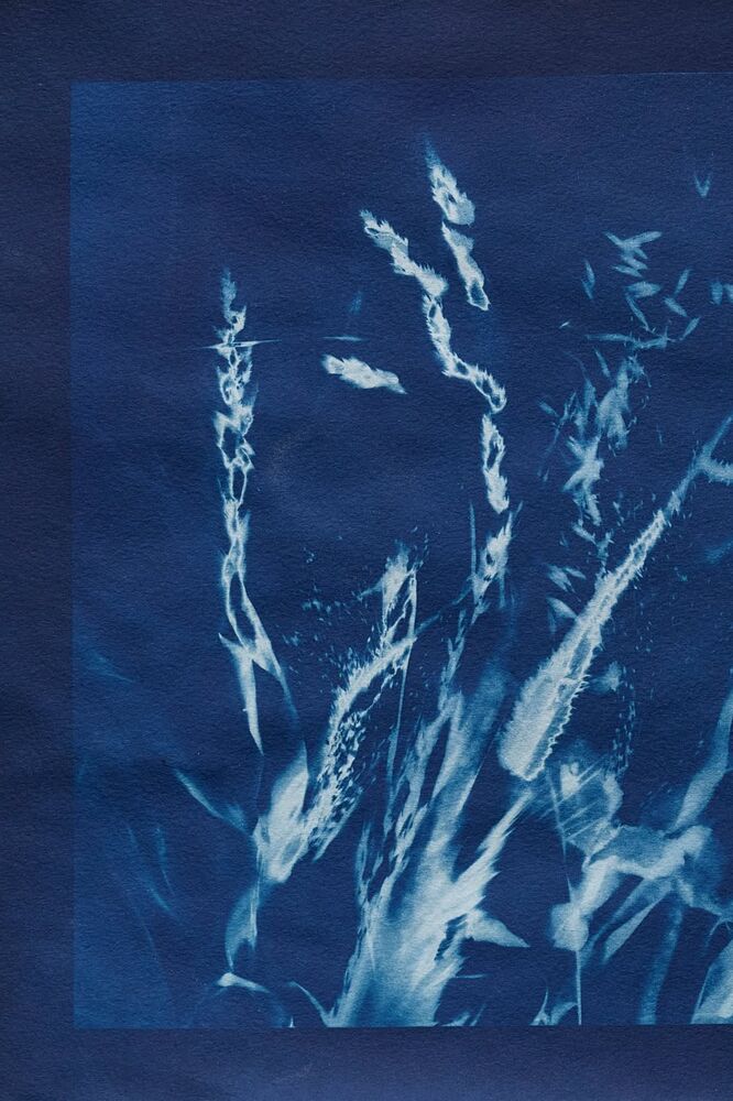 SL Editions > Fanzine > Hugo Mapelli > Slider > Visual 15