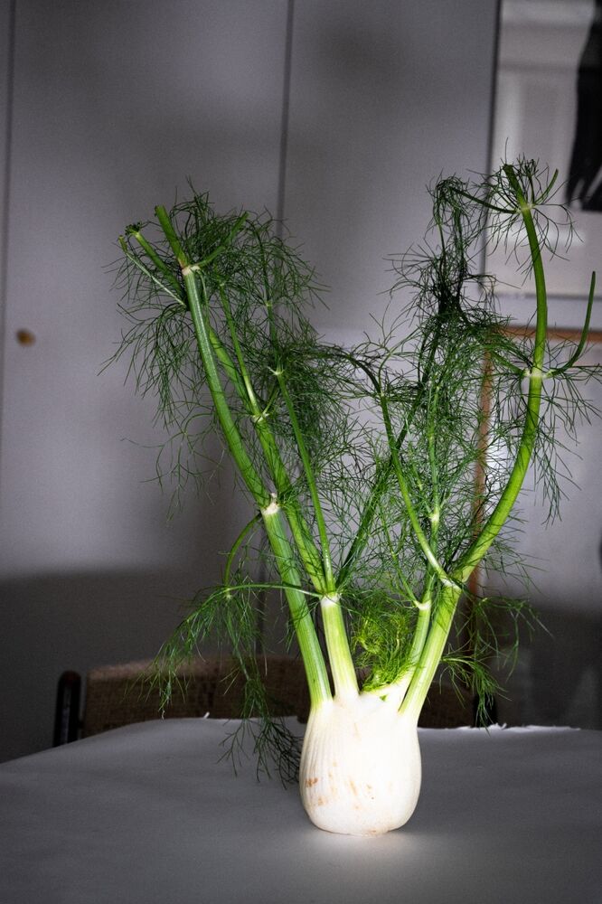 SL Editions > Fanzine > Lucie Cherqui > Slider > Visual 37 > image