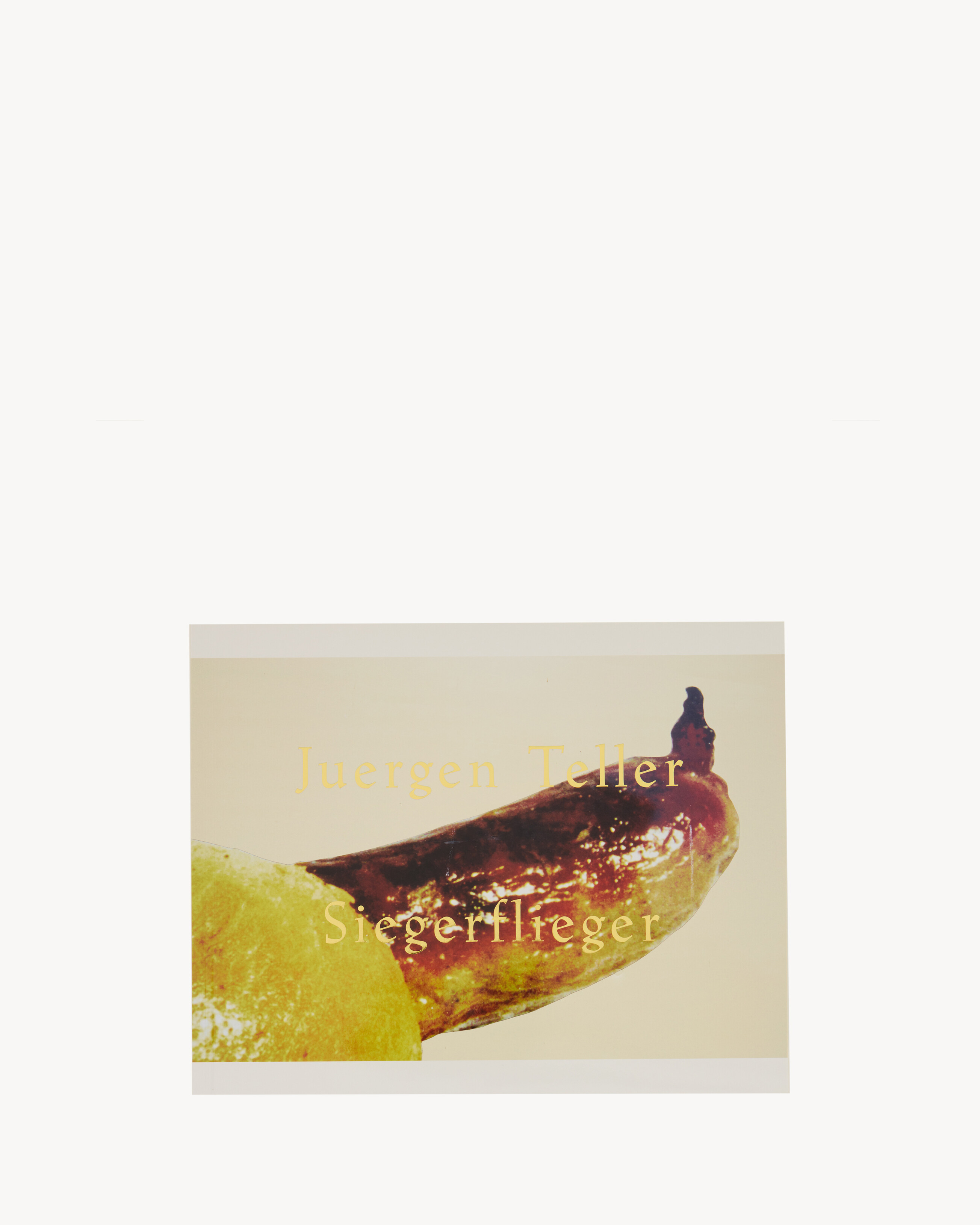 JUERGEN TELLER SIEGERFLIEGER