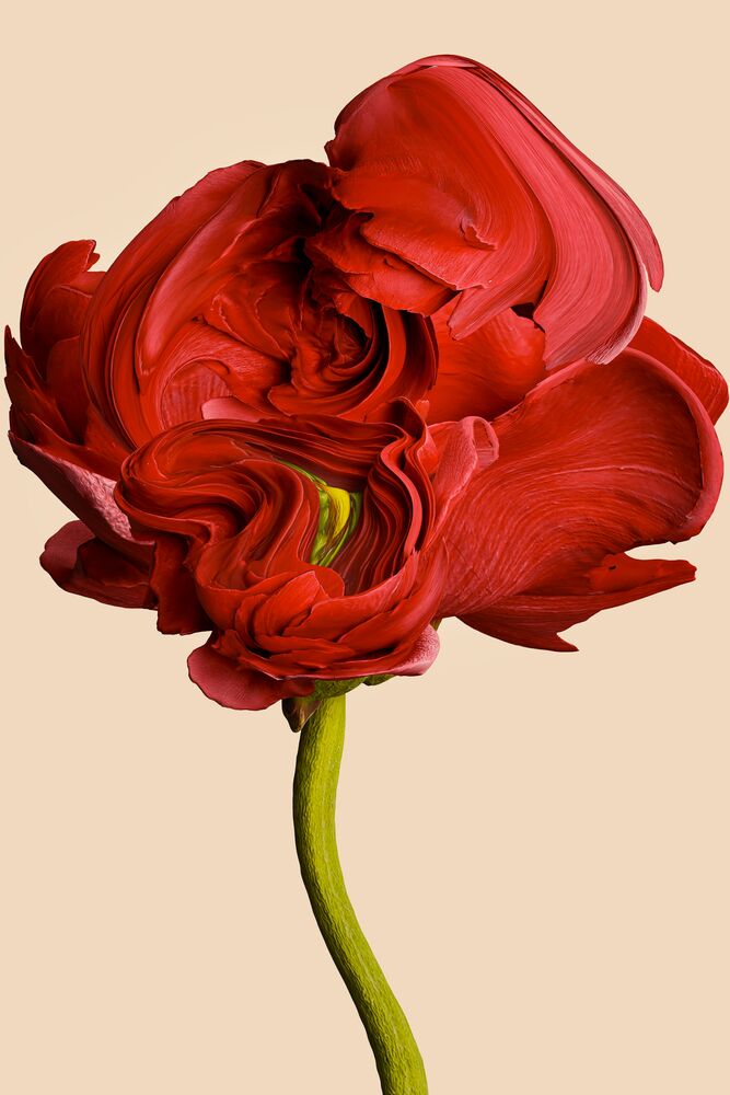 Func Image > Vincent Fournier 