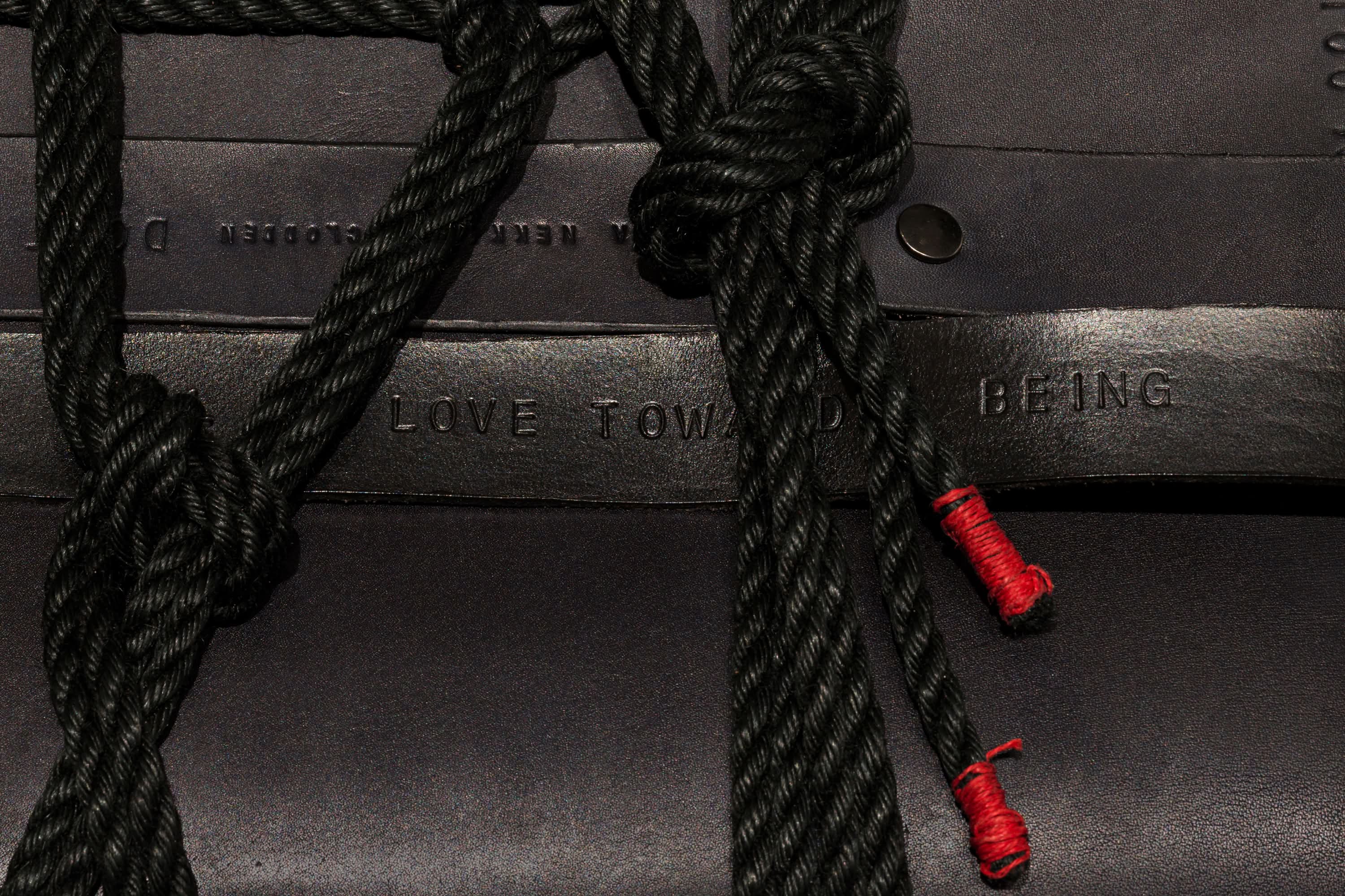 RD Block Home > Tiona > image