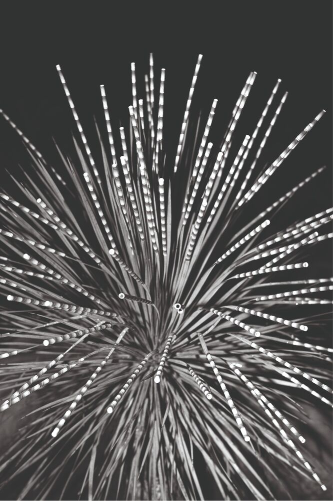 SL Editions > Fanzine > Jonathan LLense > Slider Soft > Visual 11 > image