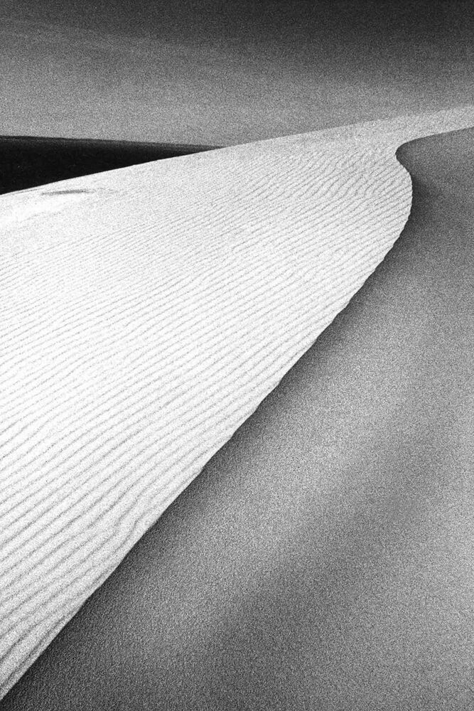 JEANLOUP SIEFF