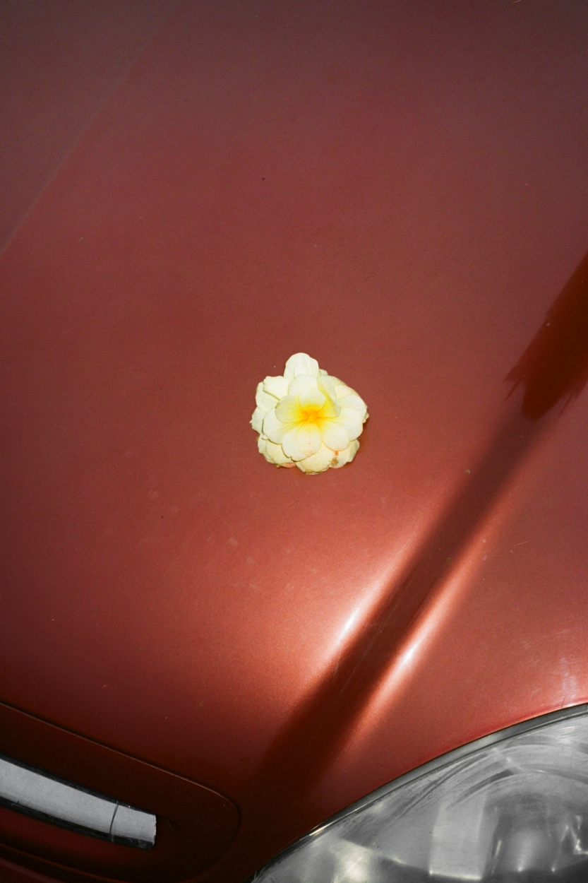 SL Editions > Fanzine > Jonathan LLense > Slider > Visual 25 > image