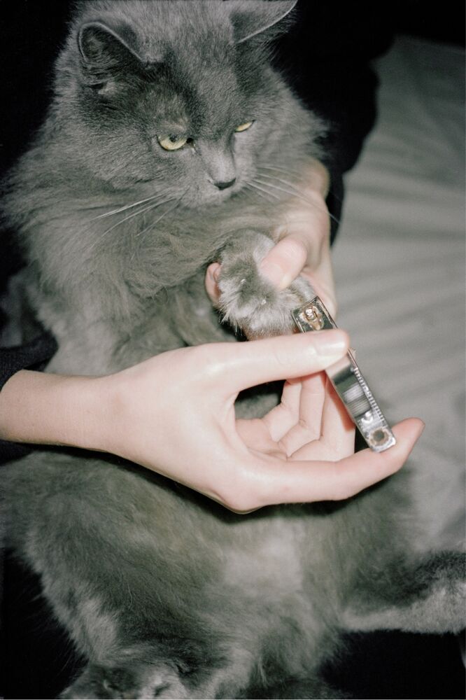 SL Editions > Fanzine > Jonathan LLense > Slider Soft > Visual 18 > image