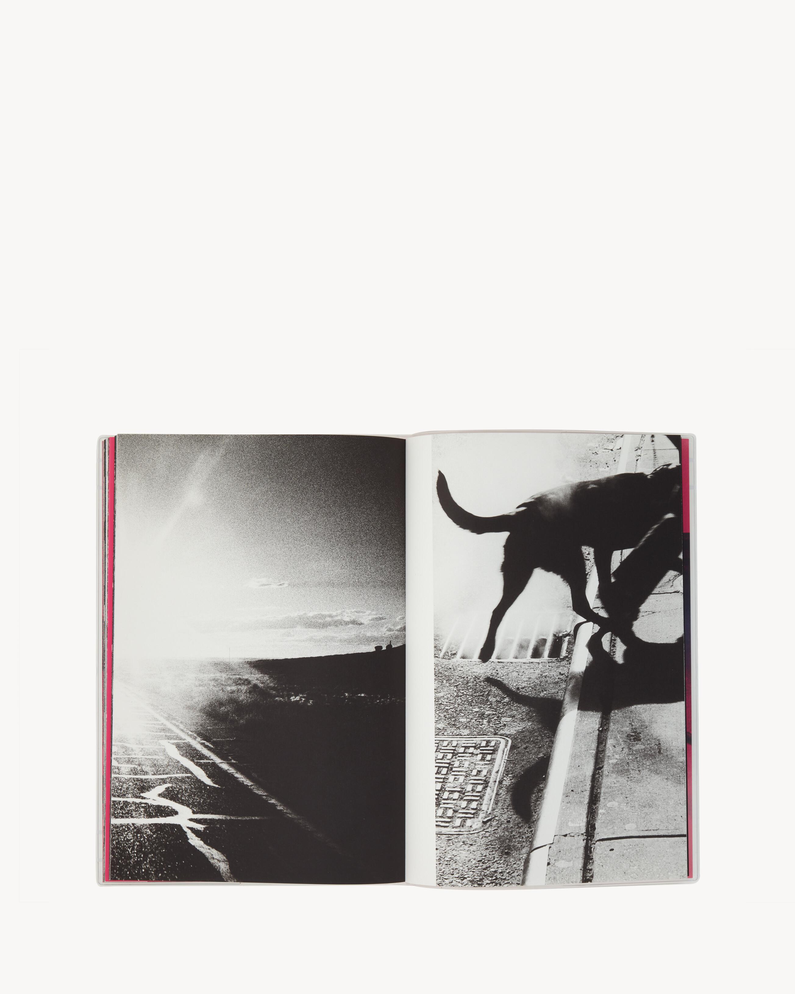 SL EDITIONS: RENATO D’AGOSTIN