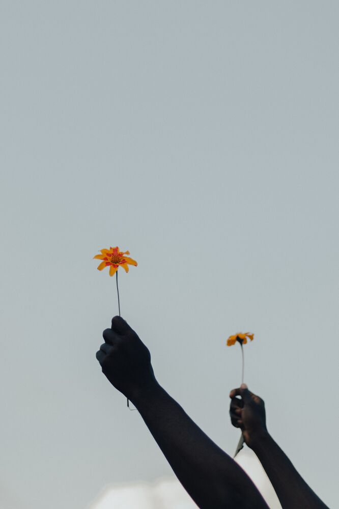 SL Editions > Fanzine > Rachel Seidu > Slider Soft > Visual 1