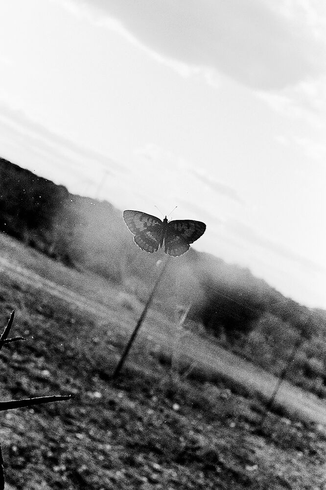 SL Editions > Fanzine > D. M. Terblanche > Slider > Visual 6 > image