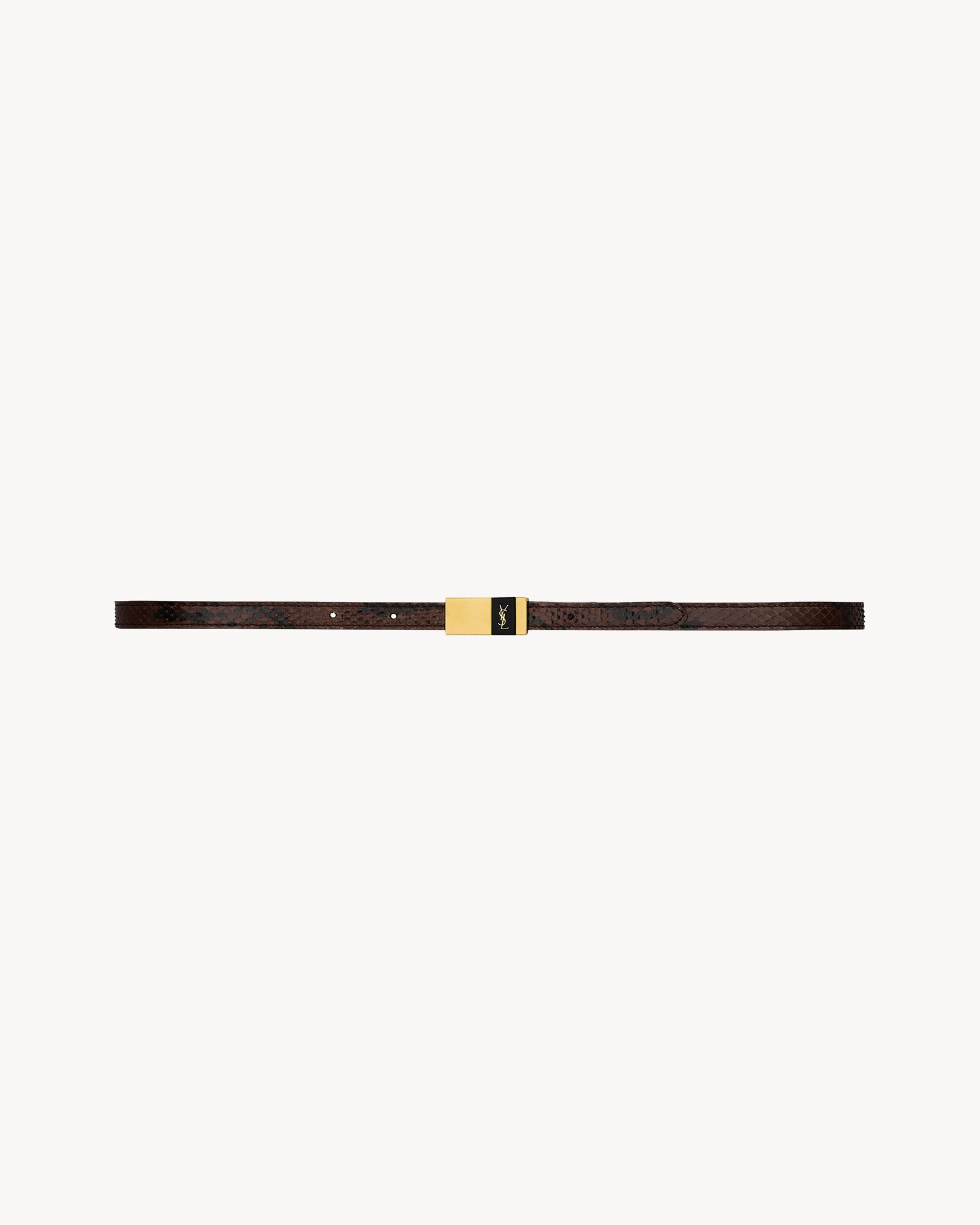 Thin anchor belt in python | Saint Laurent | YSL.com