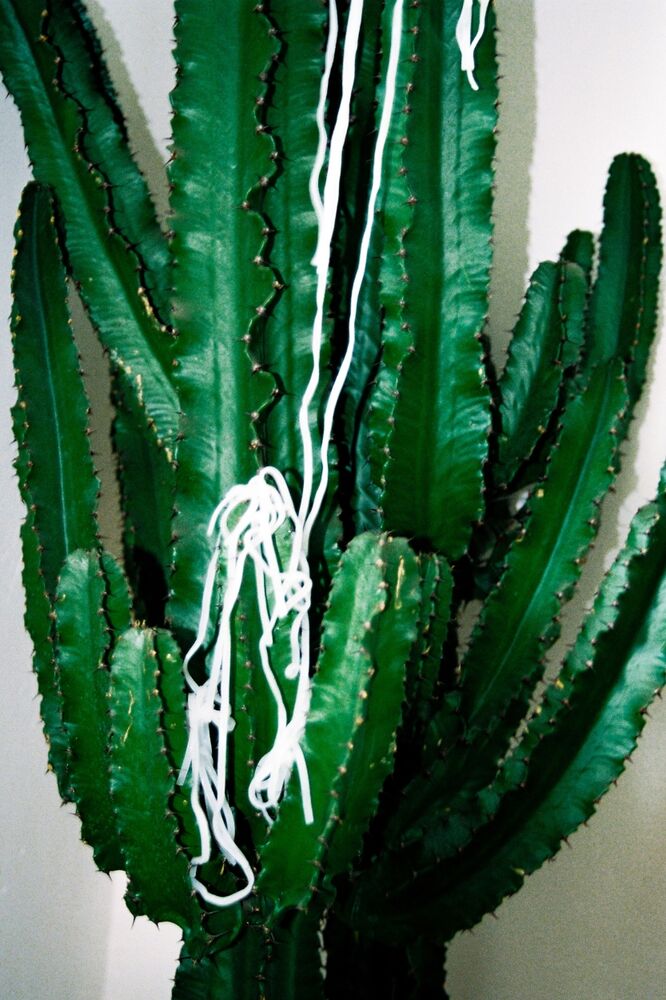 SL Editions > Fanzine > Lucie Cherqui > Slider > Visual 3 > image