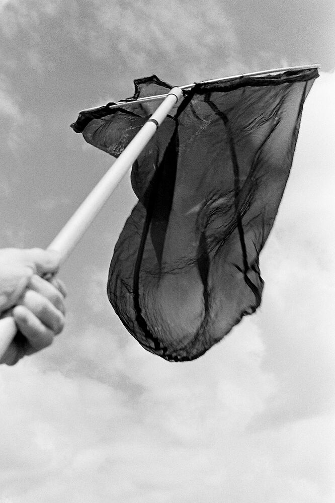 SL Editions > Fanzine > D. M. Terblanche > Slider > Visual 11 > image