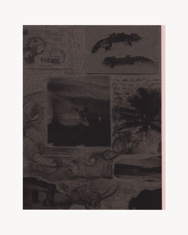 SL EDITIONS: NICK TURNER, STATE OF NATURE