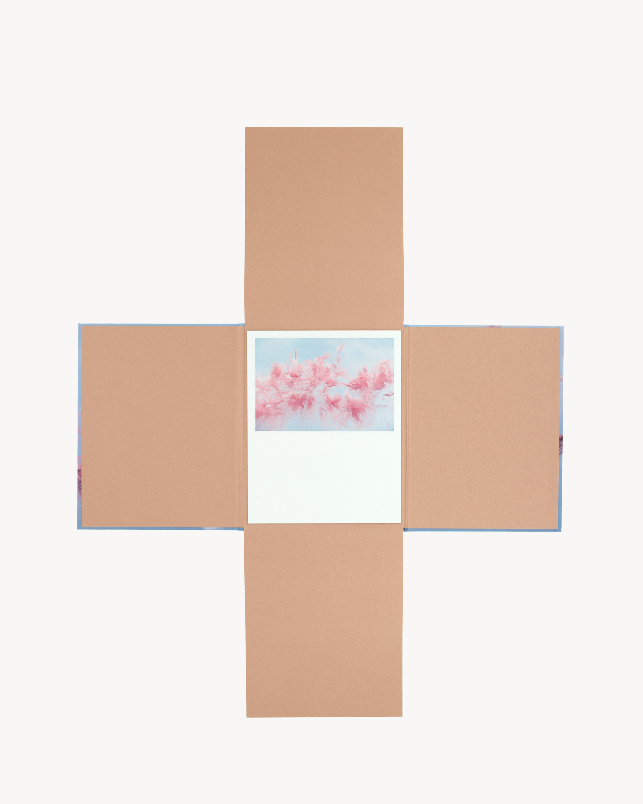 SL EDITIONS: CAI GUO-QIANG WHEN THE SKY BLOOMS WITH SAKURA