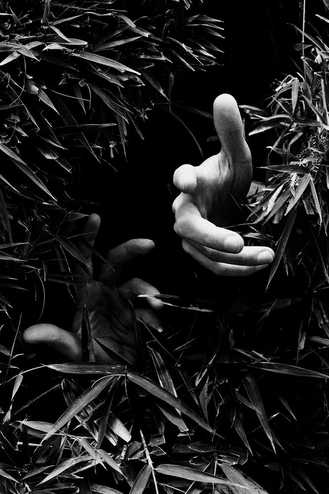 SL Editions > Fanzine > D. M. Terblanche > Slider > Visual 12 > image